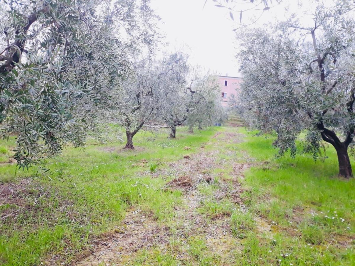 Ellebi B&B Montone  Exterior foto